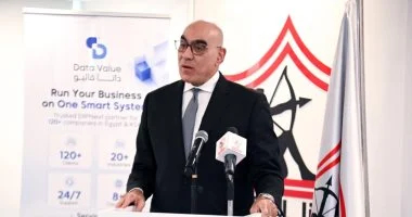 هشام نصر