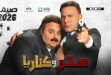 صقر وكناريا