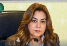 التنمية المحلية