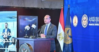 وزير الاستثمار