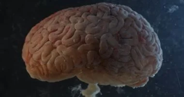 اليوم العالمى