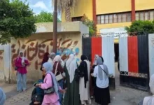 نتيجة الدبلومات