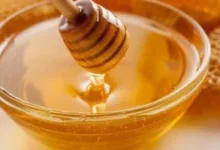 عسل الطلح