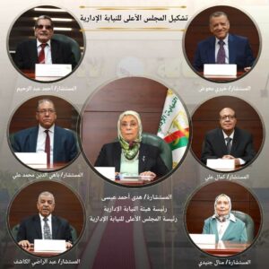 المجلس الأعلى