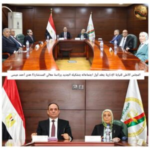 المجلس الأعلى