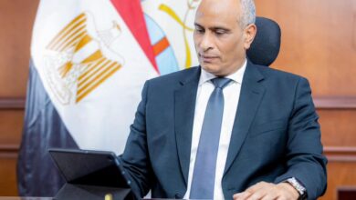 محافظ كفر الشيخ