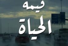 قيمة الحياة