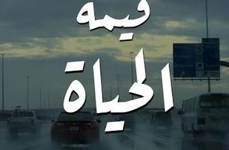 قيمة الحياة
