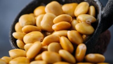 فوائده للبشرة