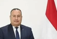 التعليم العالي