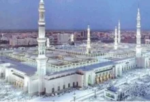 المدينة المنورة