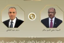 وزير الخارجية