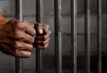 سرقوا مشغولات