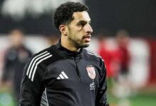 مصطفى شوبير