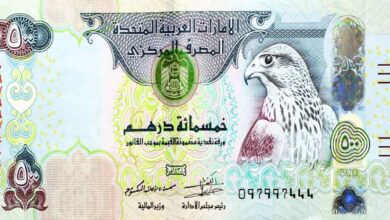 الدرهم الإماراتي