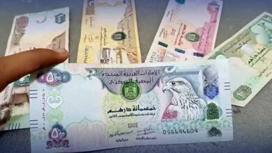 الدرهم الإماراتي