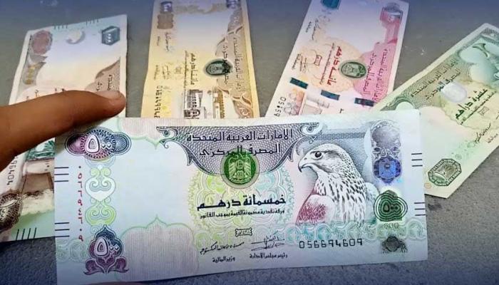 الدرهم الإماراتي