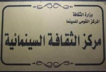 مشبك شعر