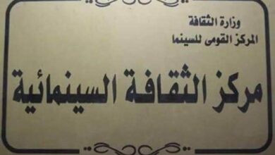 مشبك شعر