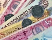 الدرهم الإماراتى