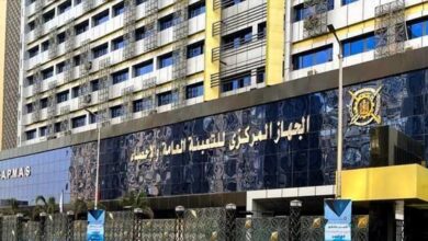 صادرات المصرية