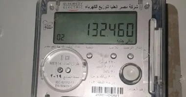 دعم الكهرباء