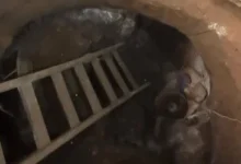الآثار