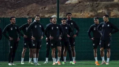 دوري المصري