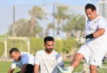 أمير عبد الحميد