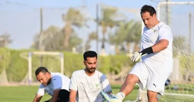 أمير عبد الحميد