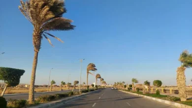 الطقس