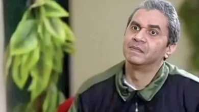 عمرو محمد على