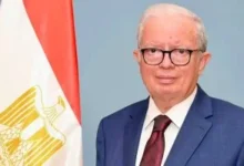 نائب رئيس الوزراء