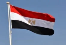 مصر تدين