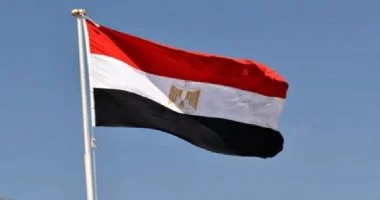 مصر تدين