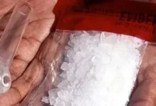سموم الجيل