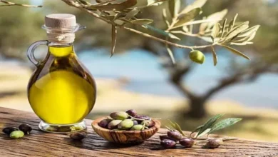 زيت الزيتون