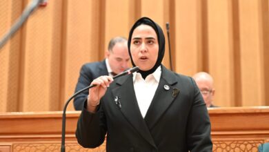 النائبة سارة النحاس