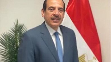 عمرو قنديل