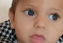 جنة همام