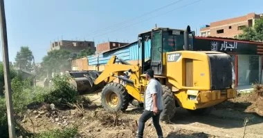 محافظ المنوفية