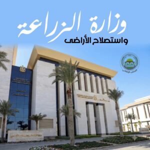 الزراعة 