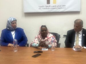 منظمة تضامن الشعوب الأفريقية الآسيوية واتحاد الإعلاميين يؤكدان دعمهما للسودان وتأهيل كوادره خلال استقبال وزيرة الموارد البشرية بالقاهرة