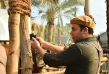 محمد إمام