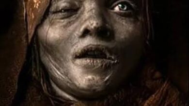 The Mummy