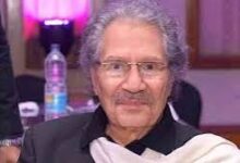 سناء شافع