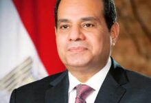 الرئيس السيسى