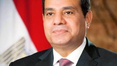 الرئيس السيسى