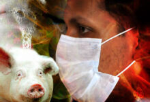 فيروس H1N2v