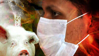 فيروس H1N2v